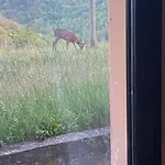 Le Ginestre Nocleg ze śniadaniem 3*