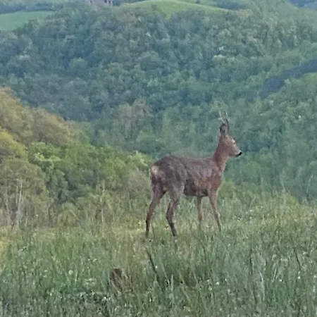 Le Ginestre Panzió 3*