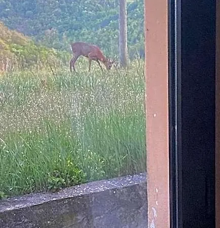 Panzió Le Ginestre
