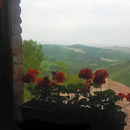 Panzió Le Ginestre
