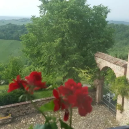 Le Ginestre * Sala Baganza