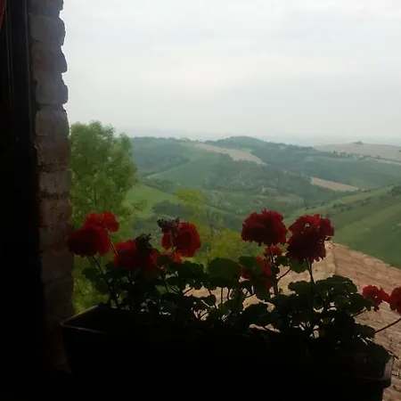 Le Ginestre Bed & Breakfast *