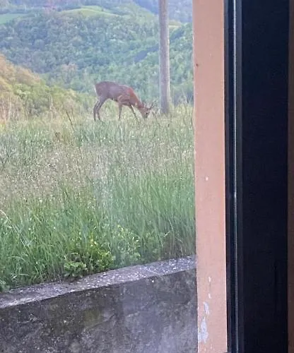 Le Ginestre Nocleg ze śniadaniem 3*